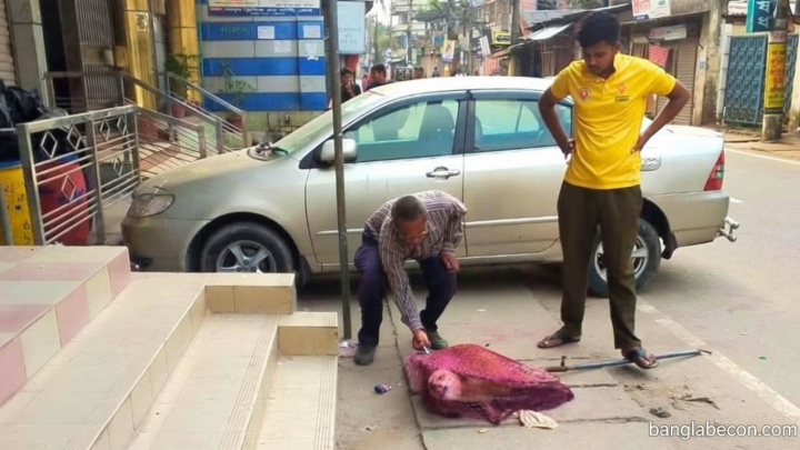 জলাতঙ্ক রুখতে গাইবান্ধায় কুকুরের গণটিকাদান শুরু