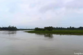 অস্তিত্ব সংকটে মৌলভীবাজারের কাওয়াদিঘী হাওর