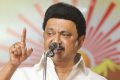 পরাজয়ের কারণ খুঁজতে ৩৮ সদস্যের কমিটি গঠন করে ময়দানে স্টালিন | সংবাদ