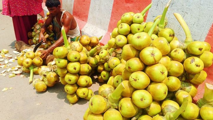 দুমকিতে তীব্র গরমে স্বস্তি দিচ্ছে তালের শাঁস | সংবাদ
