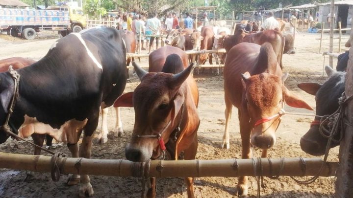 সরকারি নিয়মের তোয়াক্কা না করে অতিরিক্ত হাসিল আদায় | সংবাদ