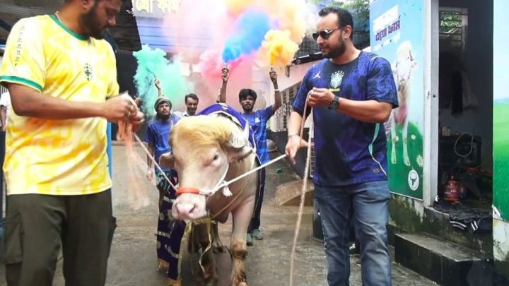 রাজকীয় বিদায় নিয়ে নারায়ণগঞ্জ ছাড়ল ‘ডোনাল্ড ট্রাম্প’ | সংবাদ