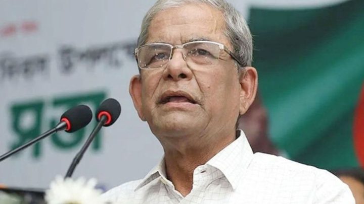 ১৭ বছর দিনটি স্বাভাবিকভাবে পালন করতে পারিনি: মির্জা ফখরুল | সংবাদ