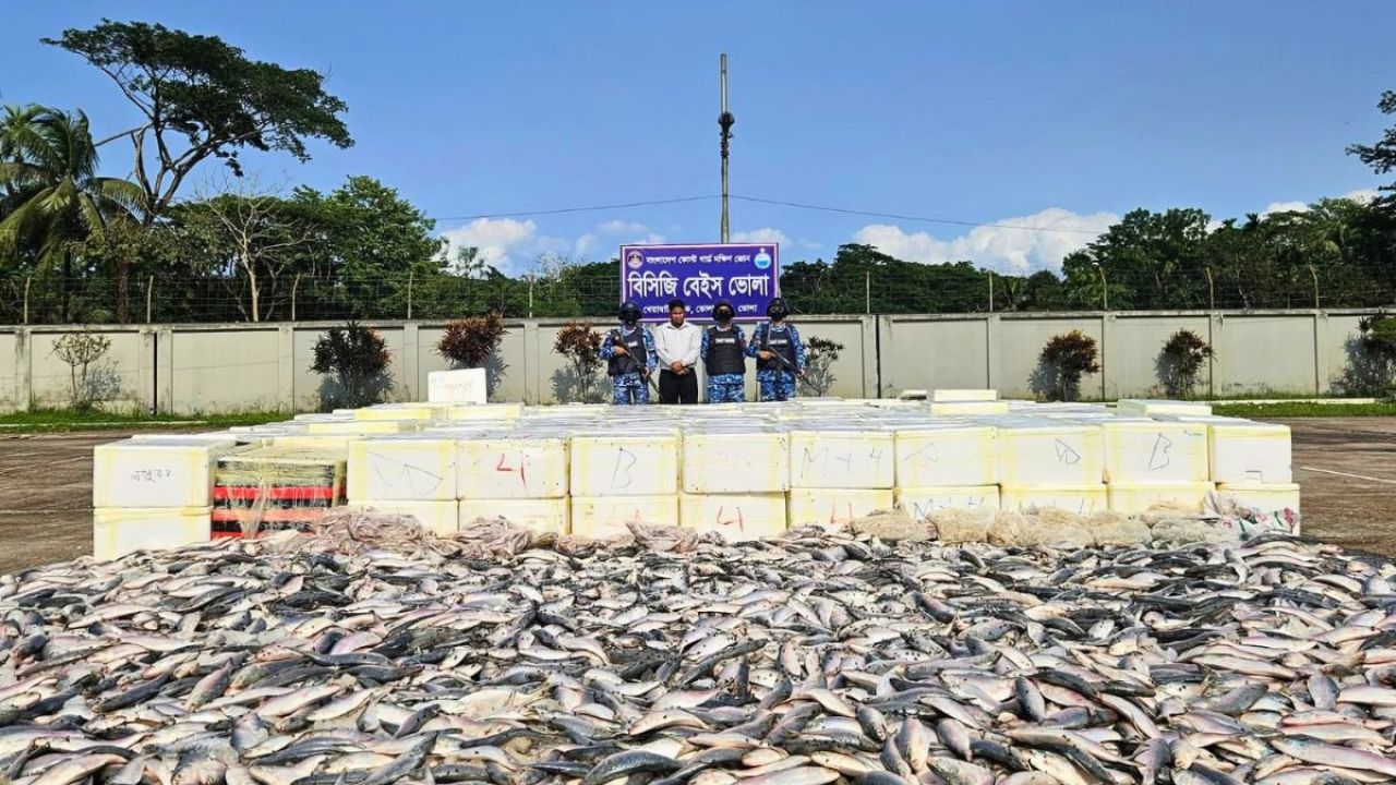 ভোলায় কোটি টাকার ইলিশ জব্দে বিতর্ক