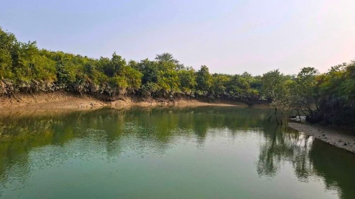 থামছে না সুন্দরবনের বনদস্যুদের দৌরাত্ম্য