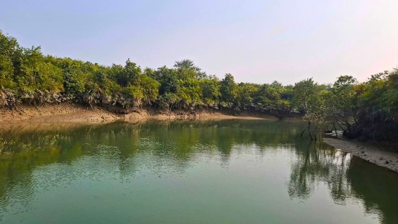 থামছে না সুন্দরবনের বনদস্যুদের দৌরাত্ম্য