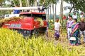 খরচ কমাতে প্রযুক্তিতে গুরুত্ব দিচ্ছে ব্রি