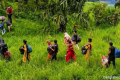 সাত জেলায় বিএসএফের পুশইন চেষ্টা ব্যর্থ