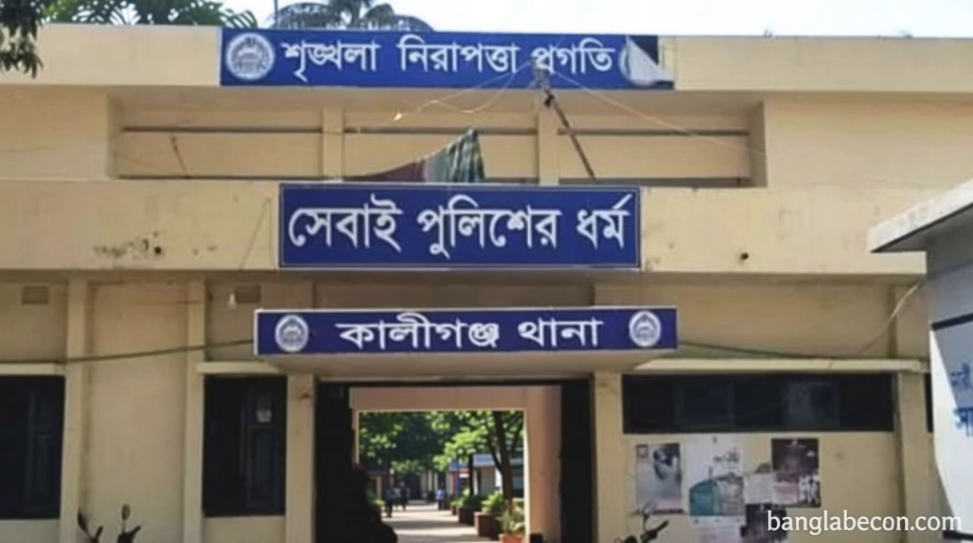 কালিগঞ্জ সীমান্তে বিএসএফের গুলিতে ২ বাংলাদেশি আহত