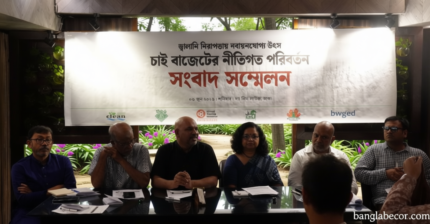 নবায়নযোগ্য জ্বালানি সম্প্রসারণে ২৫ হাজার কোটি টাকার তহবিল গঠনের প্রস্তাব | সংবাদ