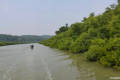 সুন্দরবনে কোস্ট গার্ডের সঙ্গে বনদস্যুদের গোলাগুলি, নিহত ১