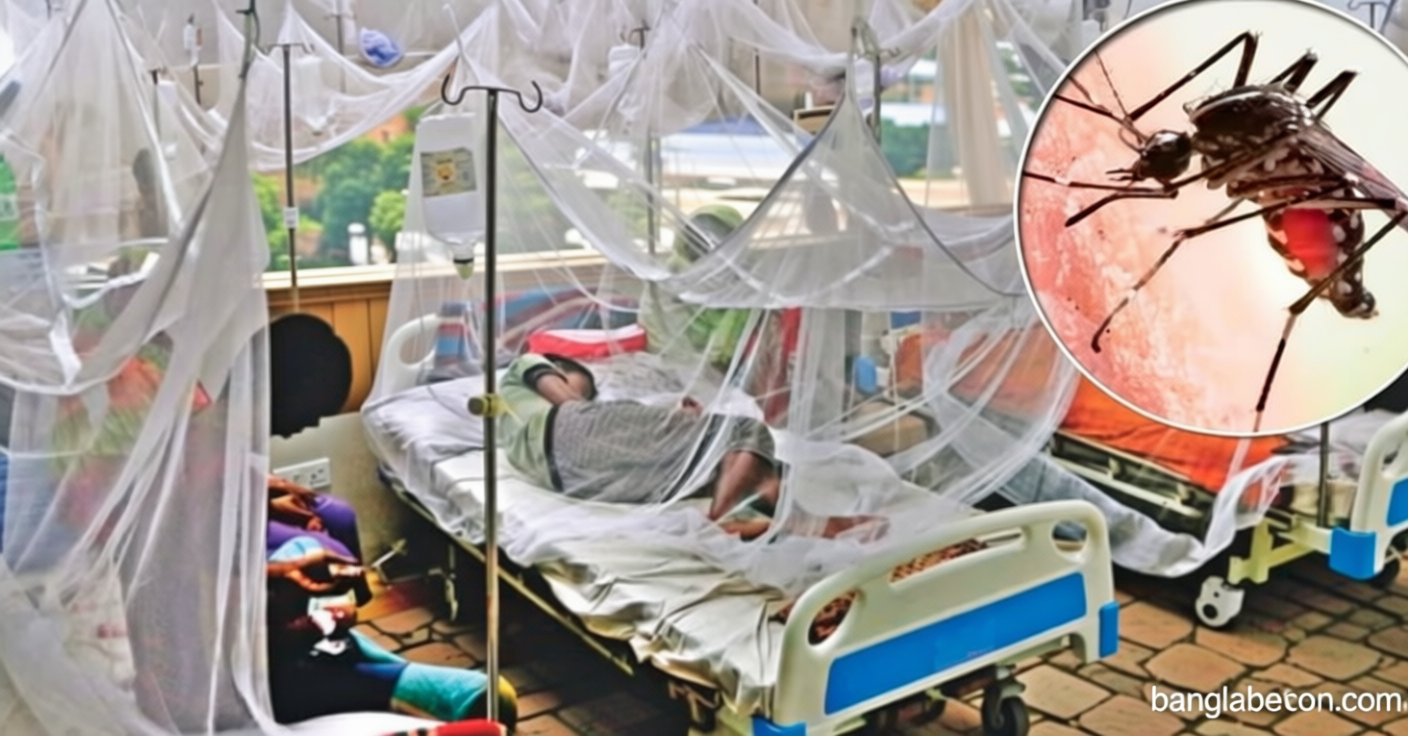 বর্ষার শুরুতে সারাদেশে ডেঙ্গু আক্রান্তের সংখ্যা বাড়ছে | সংবাদ