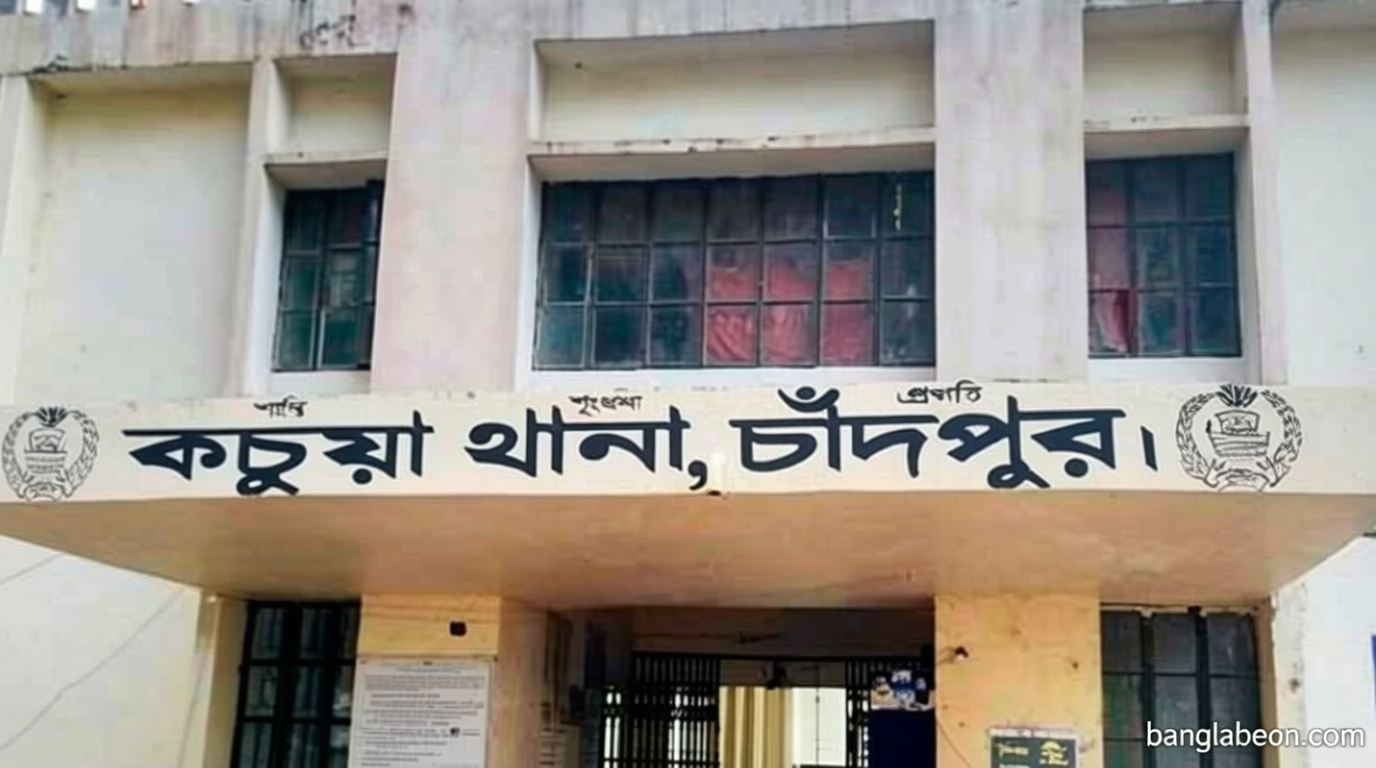 কচুয়ায় ট্রাক-ভ্যান সংঘর্ষে ২ জনের মৃত্যু