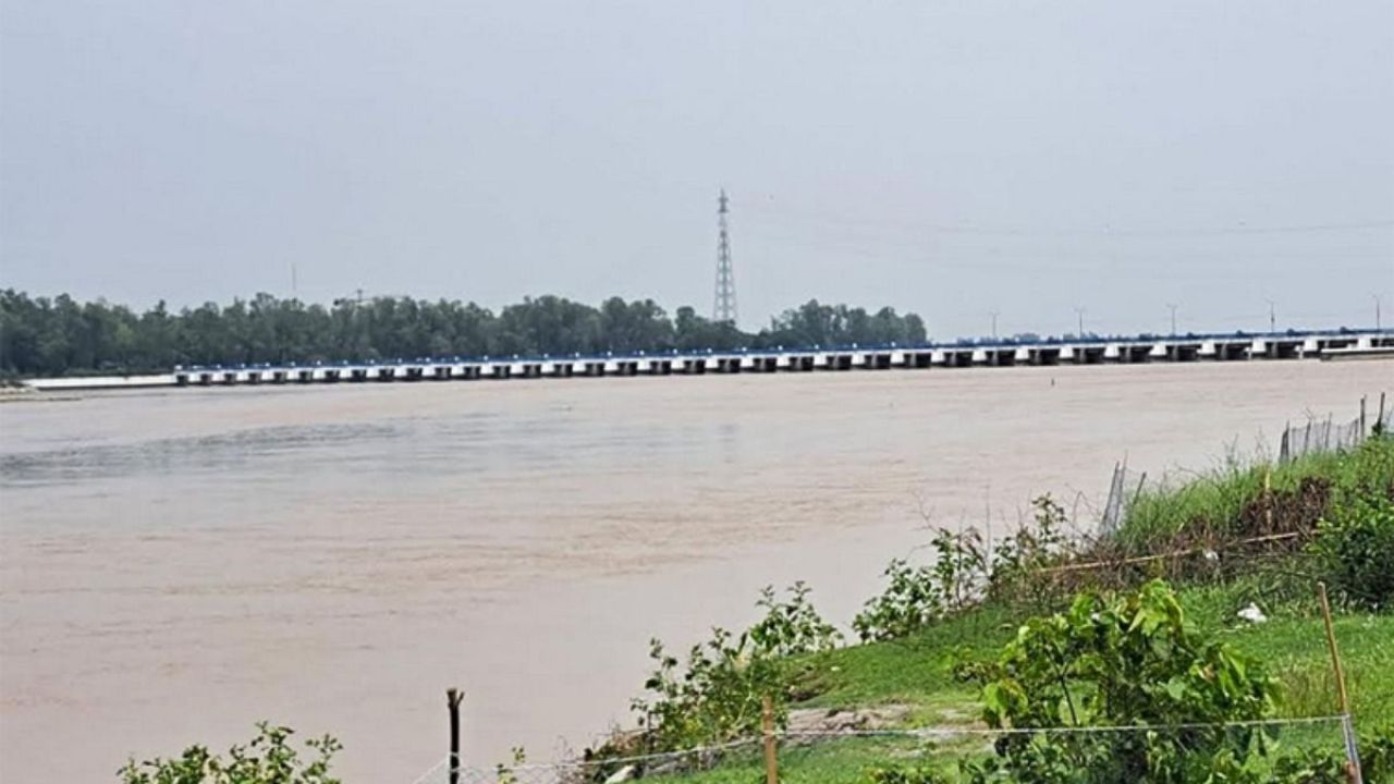 তিস্তার পাড়ে গাছচাপায় প্রাণ গেল বৃদ্ধের