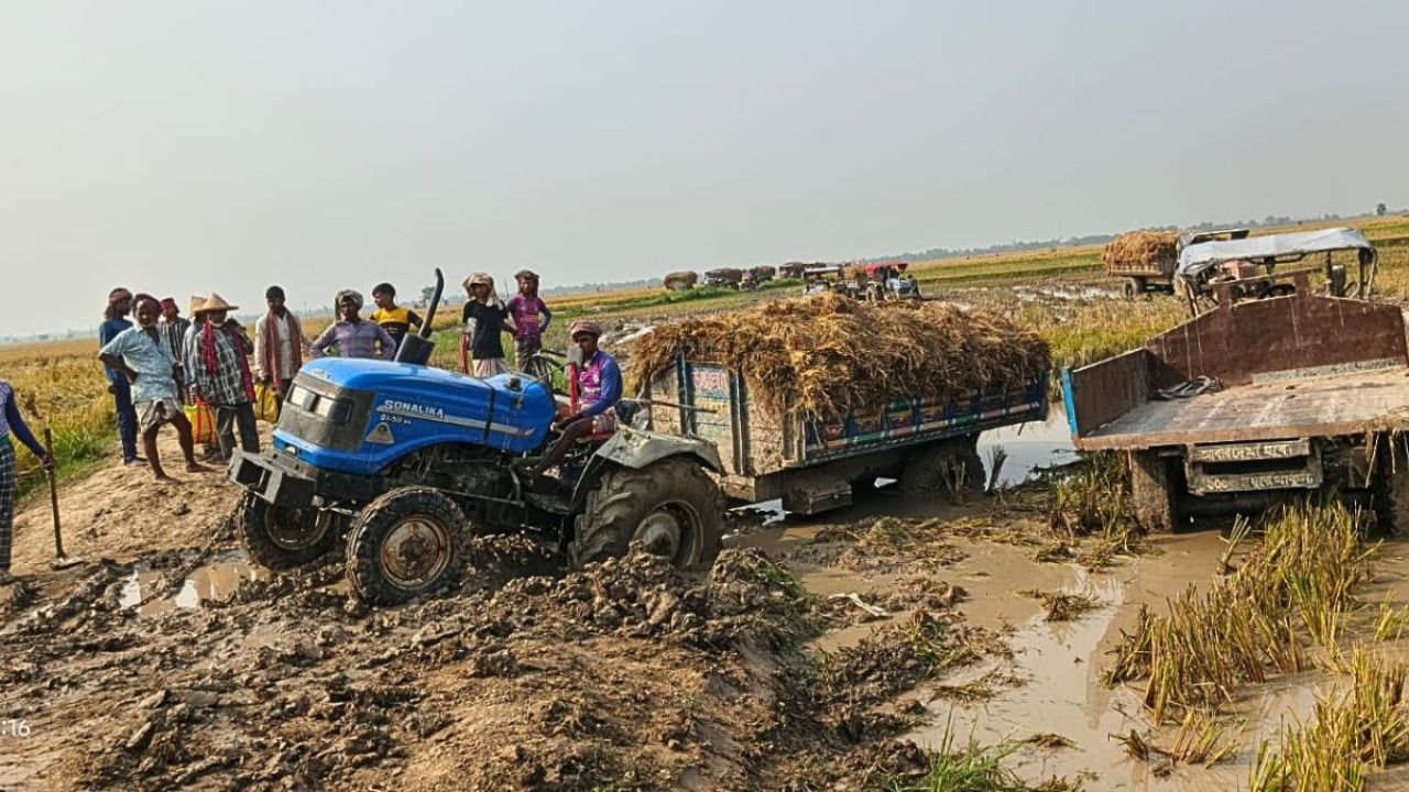 ধান পরিবহন নিয়ে দিশেহারা সাপাহারের কৃষকেরা