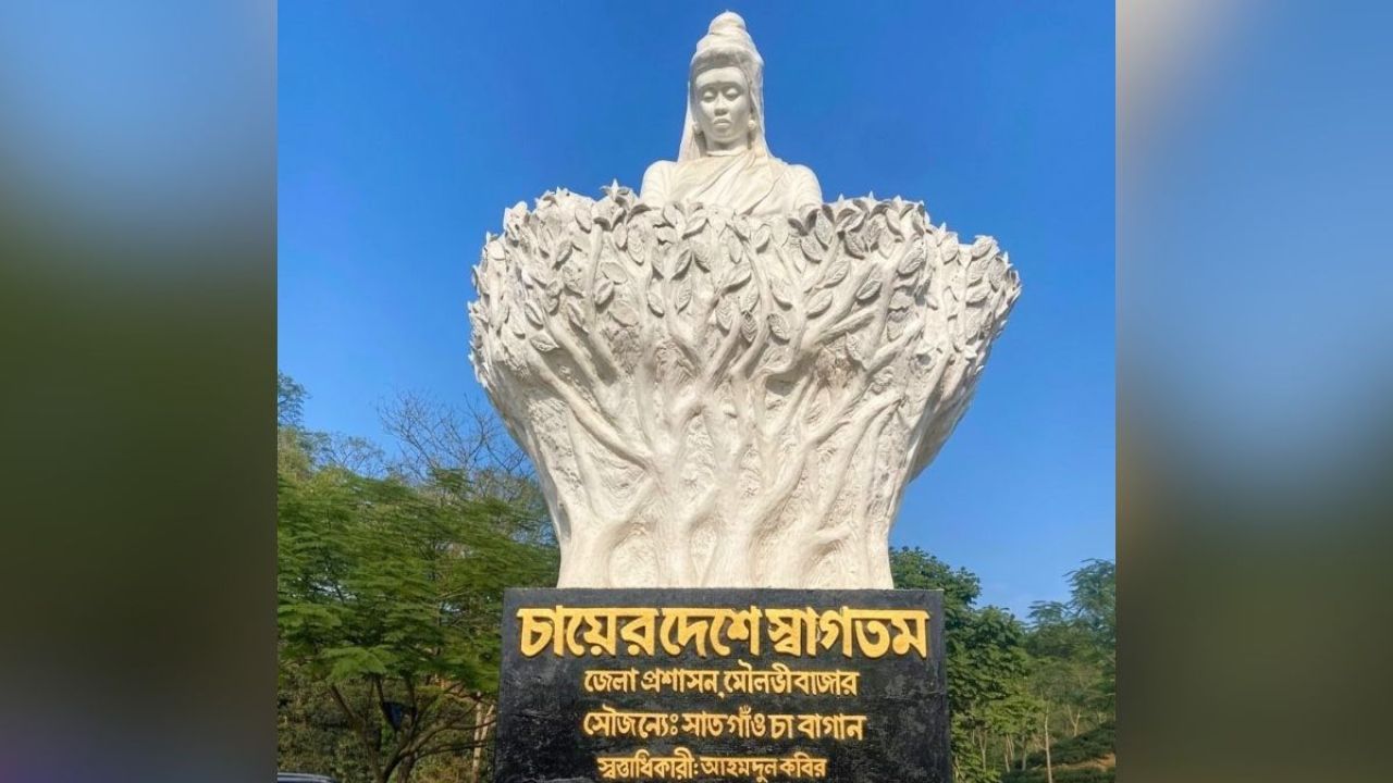 শ্রীমঙ্গলের ‘চা কন্যা’ ও আহমদুল কবিরের স্মৃতি
