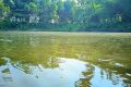 রাণীনগরে পুকুরে বিষ দিয়ে ৪ লাখ টাকার মাছ নিধন