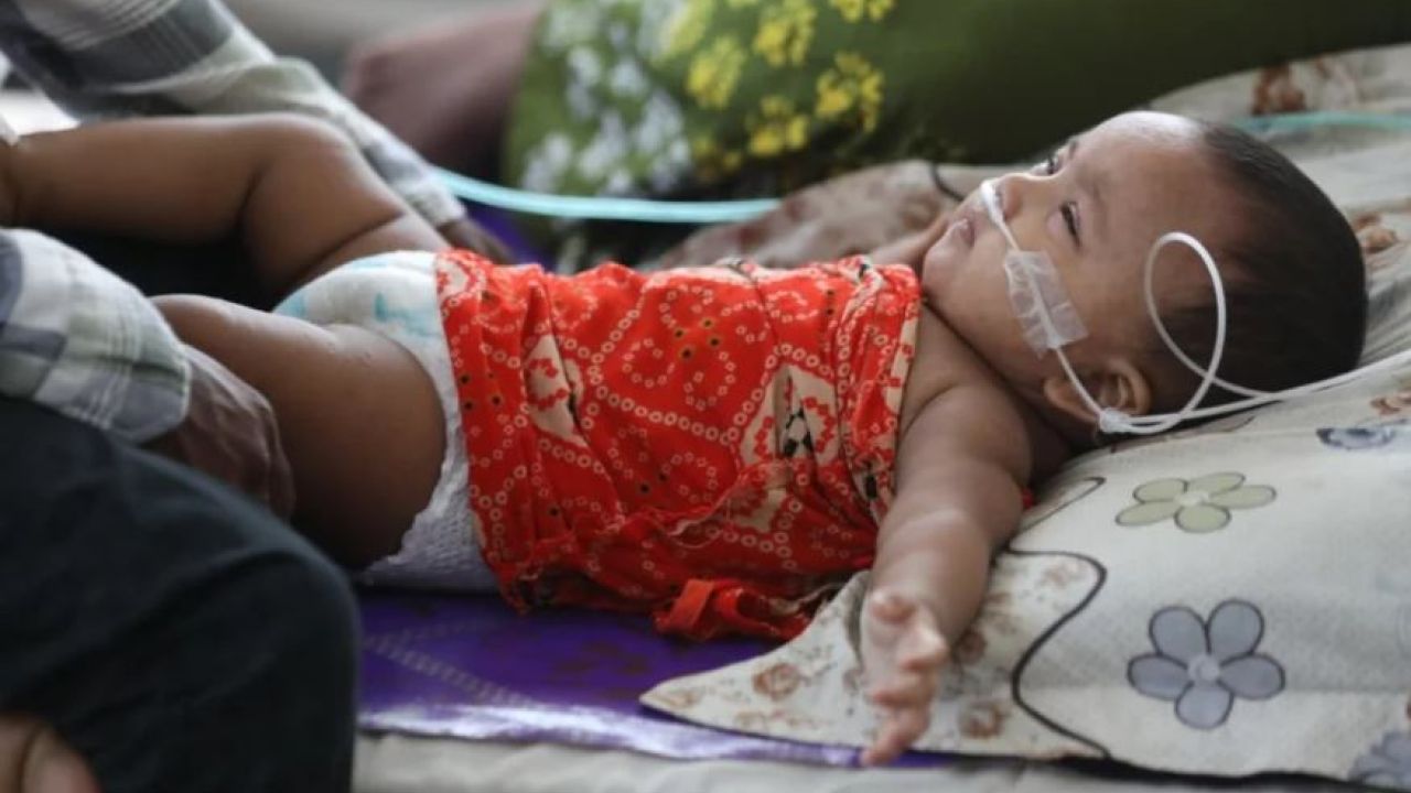 হামে মৃত্যু ৬১৩ ছাড়াল, আক্রান্ত প্রায় ৭৮ হাজার