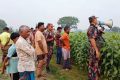গাংনীতে ৬ জনকে পুশইনের চেষ্টা নস্যাৎ