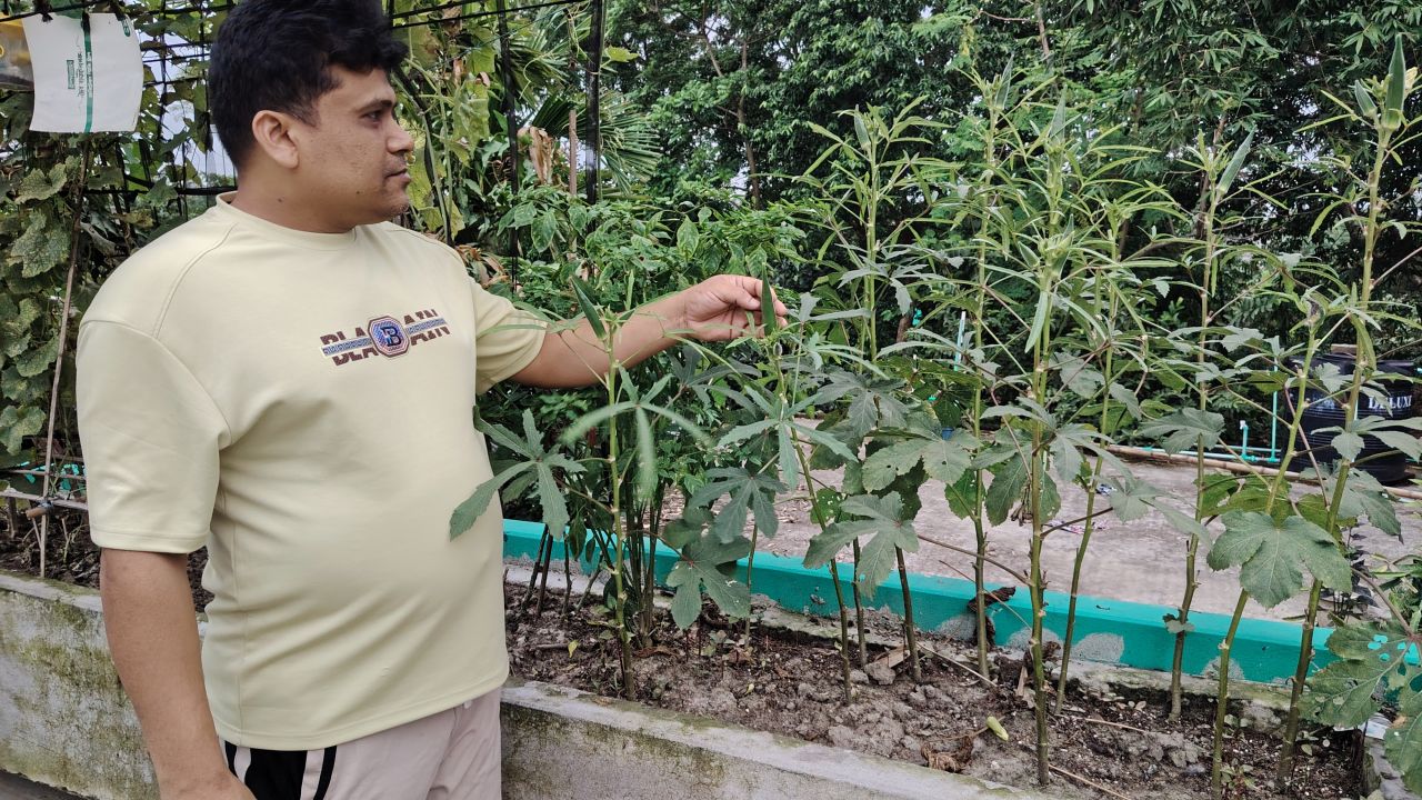 শখের ছাদবাগান এখন নিরাপদ খাদ্যের উৎস