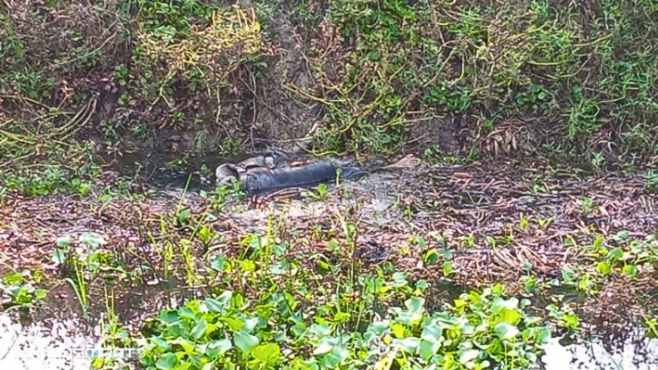 চুয়াডাঙ্গায় অপহৃত যুবকের অর্ধগলিত মরদেহ উদ্ধার