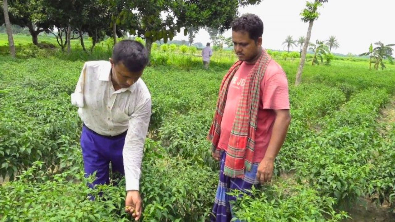 এক হাত নেই, তবু কৃষকের ভরসা মফিজ