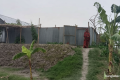 বসতভিটা উঁচু করে ভাগ্যবদল