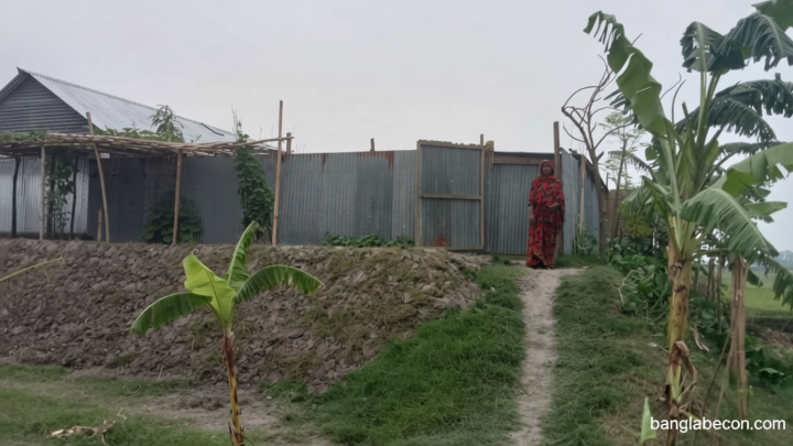 বসতভিটা উঁচু করে ভাগ্যবদল