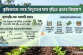 সেচে বিদ্যুতের দাম বৃদ্ধি, কৃষি অর্থনীতিতে নতুন সংকট