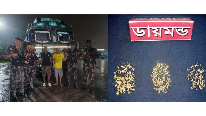 ট্রাকে লুকিয়ে হিরা পাচার, আটক ২ | সংবাদ