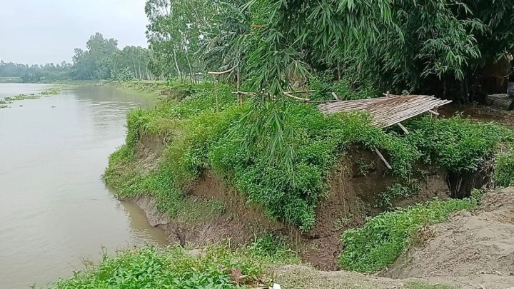 করতোয়ায় তীব্র ভাঙন, দিশেহারা মানুষ | সংবাদ