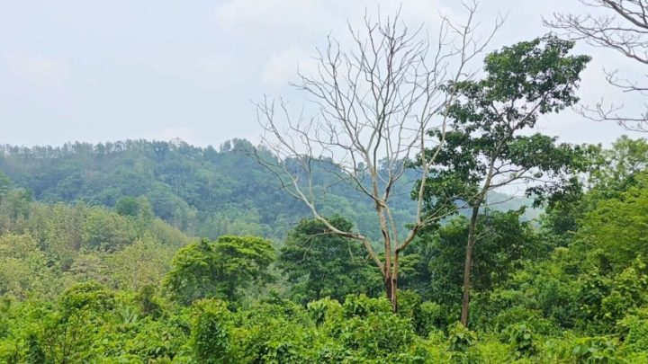 পানছড়িতে আধিপত্যের লড়াইয়ে ৩ জনের মৃত্যু
