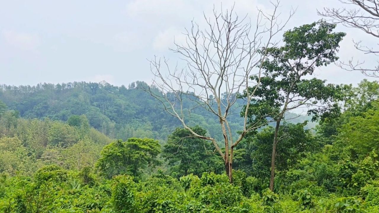 পানছড়িতে আধিপত্যের লড়াইয়ে ৩ জনের মৃত্যু