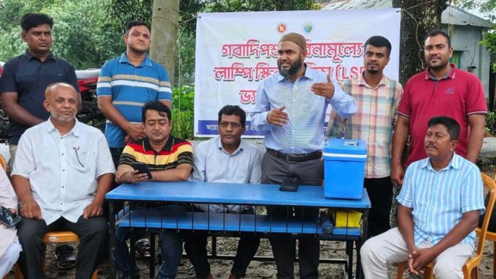 গবাদিপশুর এলএসডি প্রতিরোধে বিনামূল্যে টিকাদান শুরু