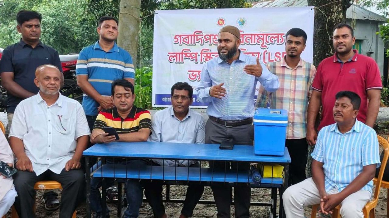 গবাদিপশুর এলএসডি প্রতিরোধে বিনামূল্যে টিকাদান শুরু
