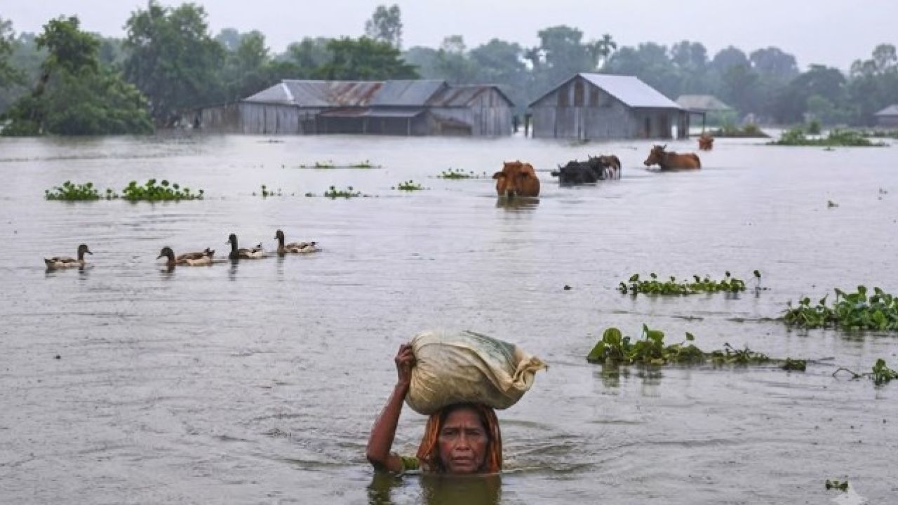 দক্ষিণ চট্টগ্রামে মানবিক বিপর্যয়, ত্রাণ সংকট চরমে