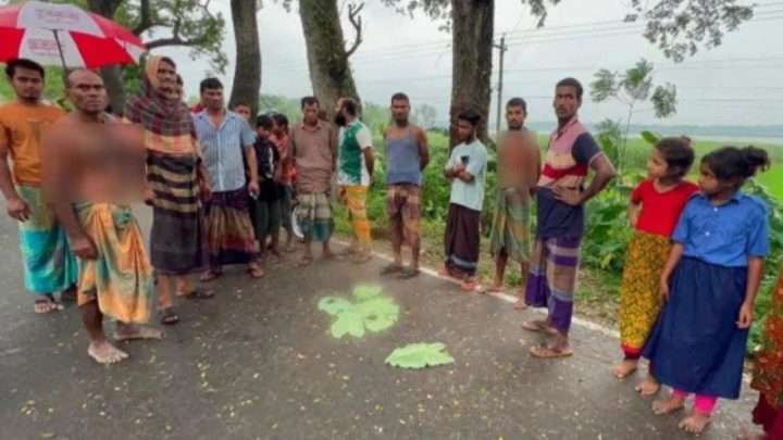 দাদির সঙ্গে ফেরার পথে বাসের ধাক্কায় শিশুর মৃত্যু