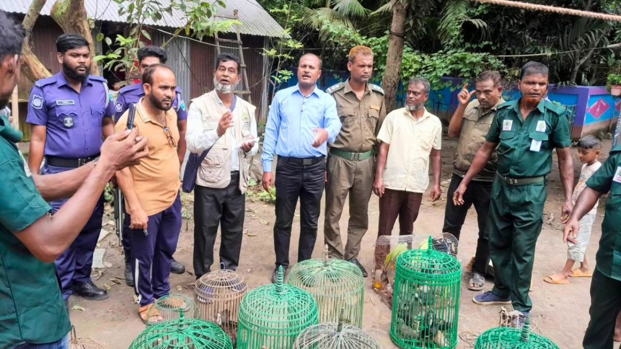 সাতছড়ি বনে ফিরল ২৪ পাখি