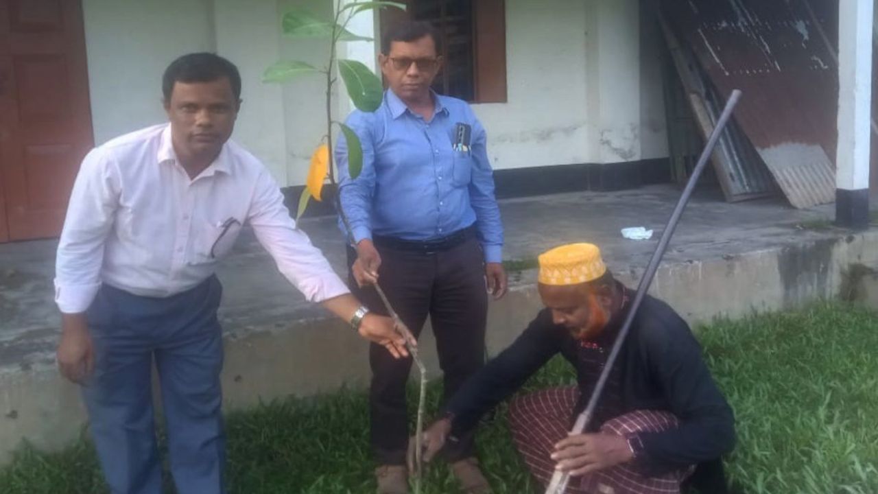 সুন্দরগঞ্জ ডিডব্লিউ সরকারি কলেজে বৃক্ষরোপণ কর্মসূচি উদ্বোধন