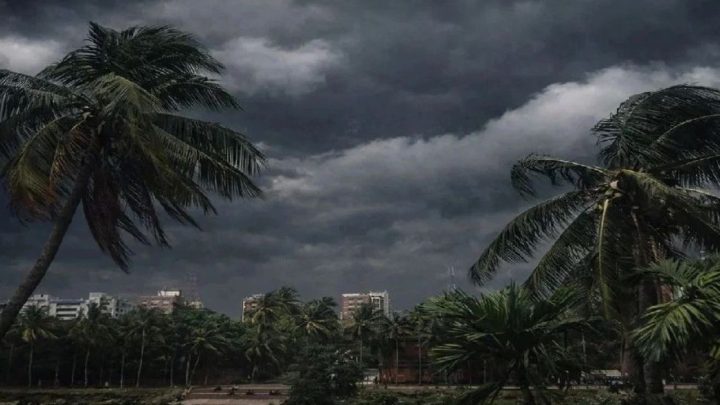 ৬ অঞ্চলে ঝোড়ো হাওয়ার আভাস, নদীবন্দরে সতর্কবার্তা | সংবাদ