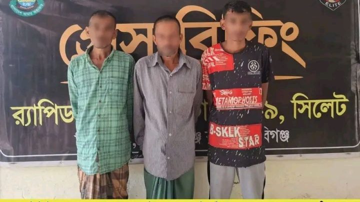 চুনারুঘাটে পিকআপ ভর্তি গাঁজা, গ্রেপ্তার ৩