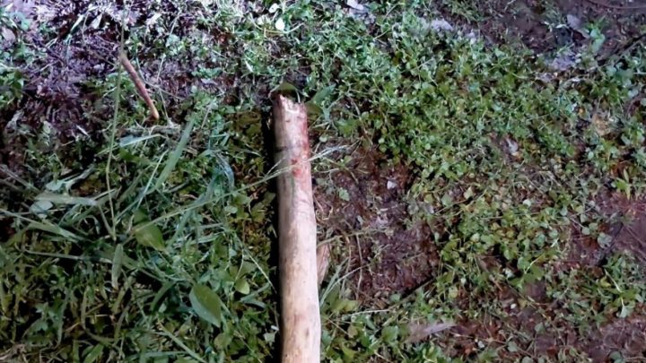ঠাকুরগাঁওয়ে নিরাপত্তাকর্মী হত্যার আসামি গ্রেপ্তার বাবার সাহায্যে