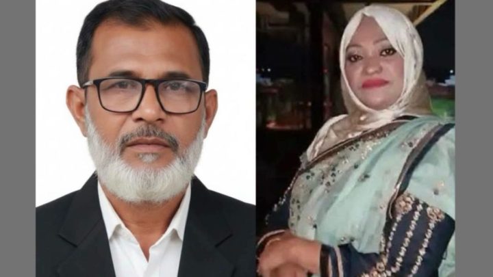 দুই ভাইয়ের গৃহদ্বন্দ্বে অস্থির দিরাই বিএনপি, নেপথে ভাবি
