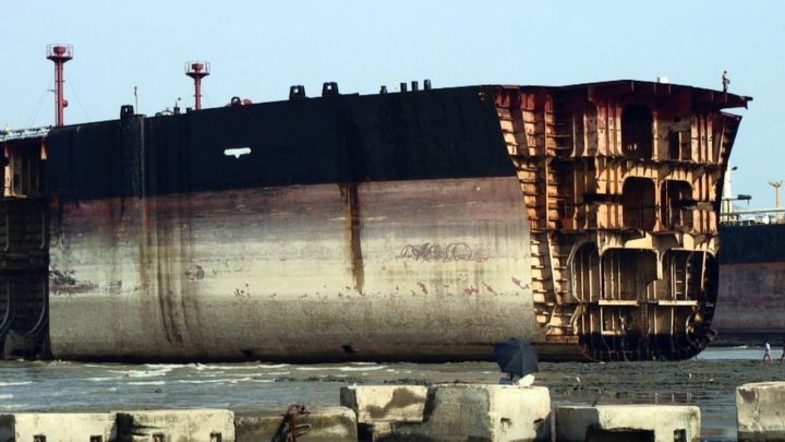 যে দুর্ঘটনার হাত ধরে বিশ্বসেরা বাংলাদেশ