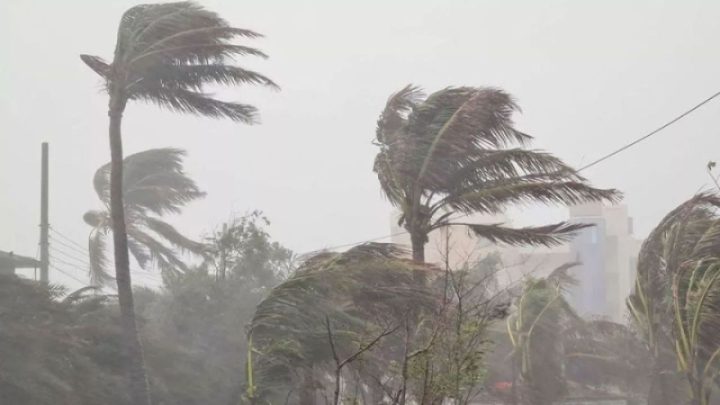সাত জেলায় দুপুরের মধ্যে ঝোড়ো বৃষ্টির পূর্বাভাস
