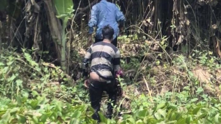 মহেশপুরে বিএসএফের পুশইন চেষ্টা রুখে দিল বিজিবি