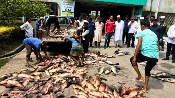 পবিপ্রবির লেকের মাছ এবার ৩ হাজার শিক্ষার্থীদের পাতে